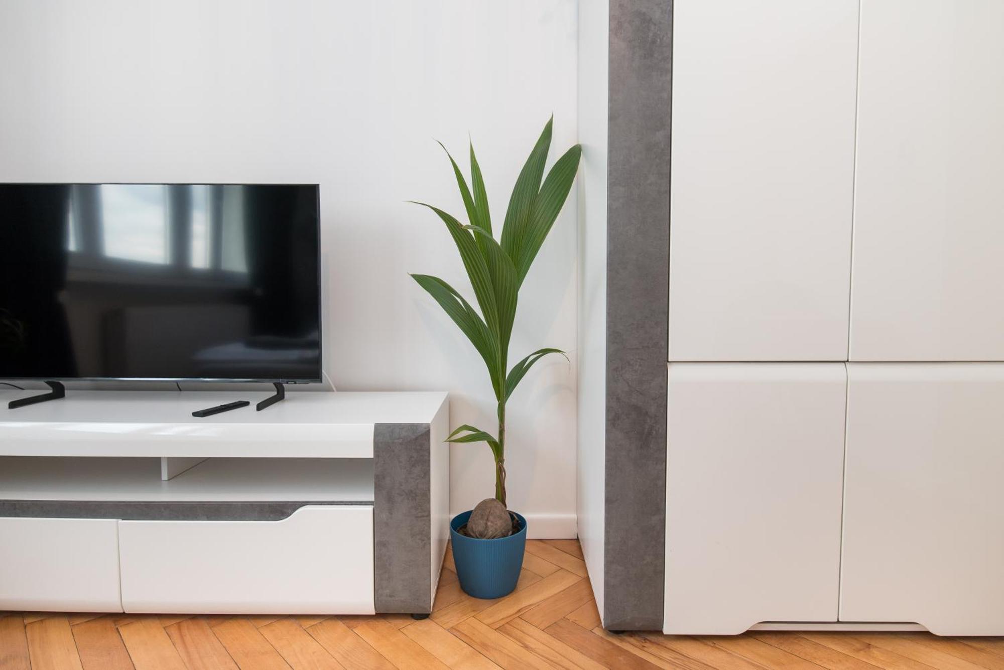 Apartament Dworcowa 24 Gliwice Bagian luar foto